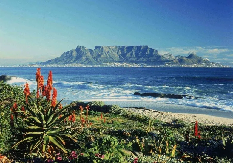 South Africa play significant role in global battery chain by 2030第1张