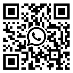 whatsapp:+8618103097519
